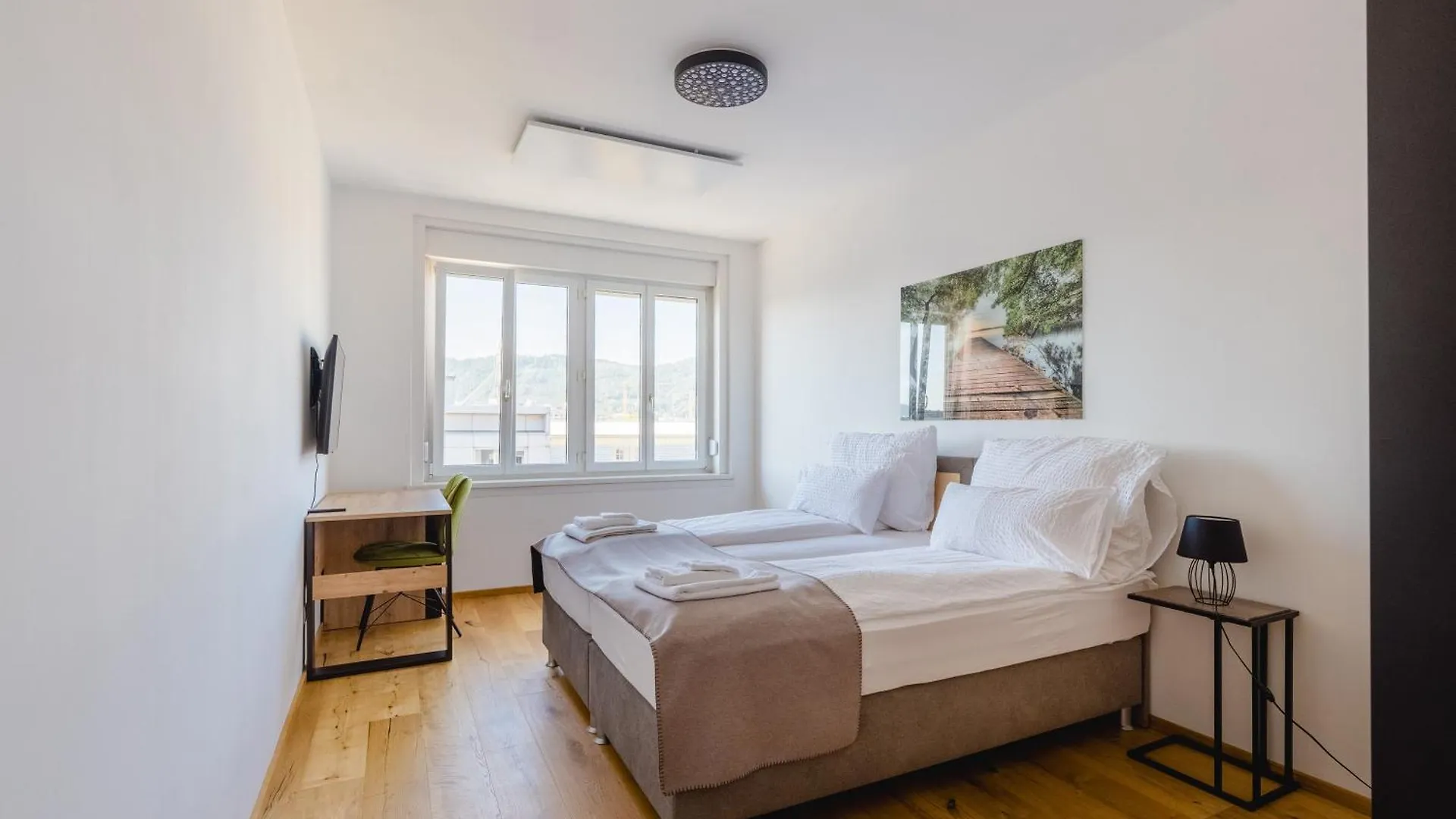 Tamliving Center Luxury 4 Rooms Smart Tv Kitchen Great View Graz